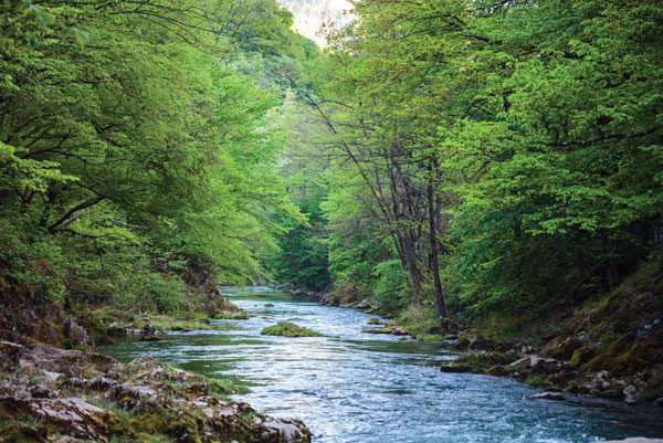 Προτάσεις για διακόσμησηΟ πίνακας RIV-043 μπορεί να ενσωματωθεί με διακριτική εξυπνάδα σε ποικιλία διακοσμησαρατικών προσεγγίσεων. Σε ένα κλασικό περιβάλλον, προσθέτει αίσθηση φυσικής ηρεμίας συνδυάζοντας φυσικά στοιχεία με παραδοσιακά έπιπλα. Σε ένα μοντέρνο διαμέρισμα, οι λεπτομερείς αποχρώσεις και το απαλό πέρασμα των στοιχείων του τοπίου μπορούν να προσθέσουν ζεστασιά και γήινες νότες, σπάζοντας τυχόν σκληρότητα των μοντέρνων γραμμών. Είναι επίσης ιδανικός για έναν μινιμαλιστικό χώρο, όπου η κυριαρχία του τοπίου σε απλές γραμμές και χρώματα προσφέρει μια αισθητική γαλήνη, ενισχύοντας τη φιλοσοφία της λιτότητας με το φυσικό του ύφος. Ο πίνακας σε καμβά μπορεί να χρησιμεύσει ως κεντρικό κομμάτι σε κάθε χώρο, υπογραμμίζοντας την αισθητική του περιβάλλοντος.Λίγα λόγια για τον πίνακαΟ RIV-043 ανήκει στην κατηγορία των Τοπίων και Φύσης, και ξεχωρίζει για την ψηφιακή του απεικόνιση που αποτυπώνει την ομορφιά και την ηρεμία ενός φυσικού τοπίου. Το έργο απεικονίζει την πλούσια γήινη παλέτα με κυρίαρχες αποχρώσεις του πρασίνου και του καφετού, ενισχυμένες με πινελιές φωτός που δίνουν βάθος και ζωντάνια στο σκηνικό. Οι λεπτομερείς υφές και οι ρεαλιστικές αναπαραστάσεις προάγουν την συνολική αρμονία, ενώ η εξαιρετική εκτύπωση εστιάζει στην αναπαραγωγή της αυθεντικής φυσικής ομορφιάς.Ο πίνακας προσκαλεί το θεατή να περιπλανηθεί στο ειδυλλιακό τοπίο, μεταφέροντας μια βαθιά αίσθηση γαλήνης και σύνδεσης με τη φύση. Ο τρόπος με τον οποίο το φως διαχέεται μέσα από τις αποχρώσεις δημιουργεί μια ατμόσφαιρα αναβίωσης και ανανέωσης, ενισχύοντας την εντύπωση μιας ζωντανής και αναπτυσσόμενης φύσης. Αποτελεί μια πρόσκληση για φυγή από το άγχος της καθημερινότητας και μια επιστροφή στην απλότητα και την ηρεμία του φυσικού περιβάλλοντος. Είναι ένας πίνακας σε καμβά που όχι μόνο εντυπωσιάζει με την οπτική του, αλλά και προάγει την εσωτερική ισορροπία του παρατηρητή.Ψηφιακή εκτύπωση σε καμβά. Ο καμβάς είναι υψηλής ποιότητας, ειδικός για ψηφιακή εκτύπωση που αναδεικνύει τα χρώματα. Είναι ιδανικός για διακόσμηση εσωτερικών χώρων. Παραλαμβάνετε τον πίνακα με την ψηφιακή εκτύπωση καμβά, τελαρωμένο σε τελάρο από ανθεκτικό ξύλο 2εκ, στη διάσταση που θέλετε.